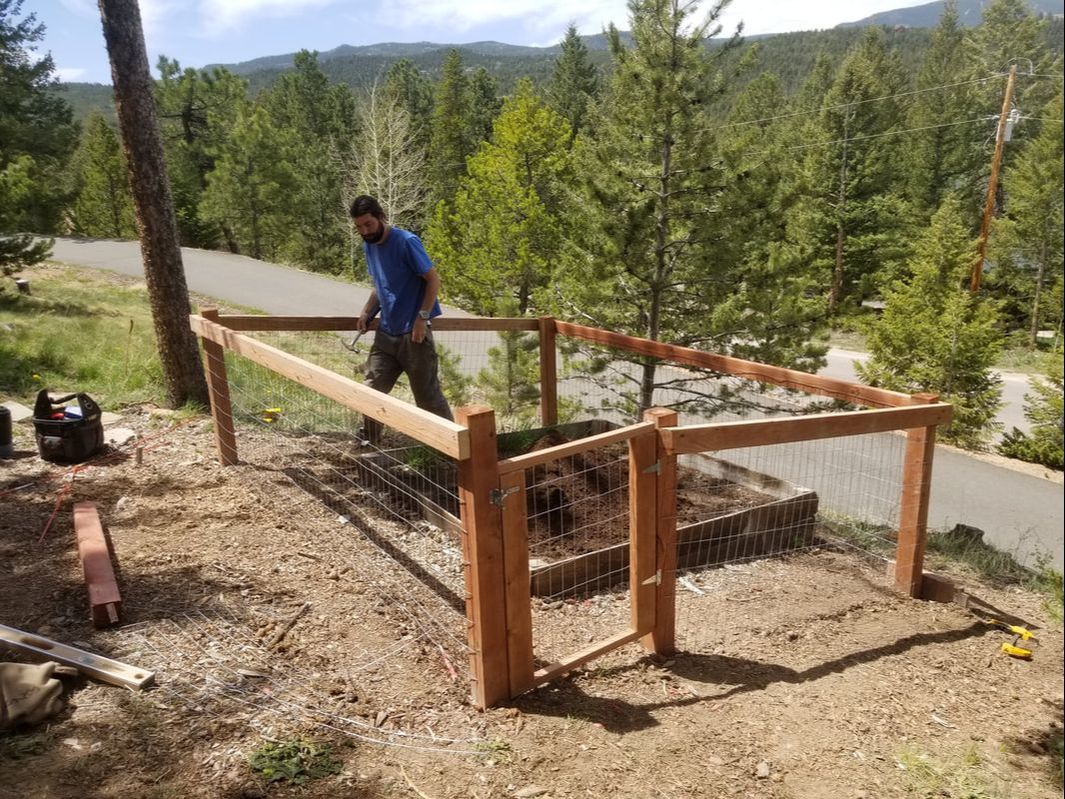 Picture of a 4 foot garden fence made from pressure treated lumber and galvanized garden fencing with a door built by The Montross Brothers in Jeff co., CO