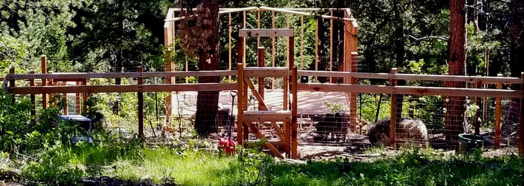 Picture of a six foot tall dog pen made with Cedar and galvanized garden fencing with 2 consecutive doors to keep from dogs slipping out. Built by Montross Brothers in Littleton, Colorado